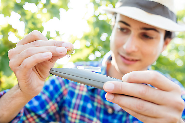 포토 JPG 주간 서양인 외국인 모자 남자 포도 한명 서기 미소 들기 사람 상반신 20대 성인 야외 앞모습 농장 측정 포도밭 체코 성인남자한명만 당도측정기 국내포토 자연요소 1 잡화 유럽 뷰포인트 밭 농업 과일 모션 표정 인종 청년 기계 남자한명만 성인남자만 파일형식