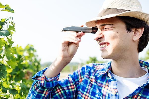 포토 JPG 주간 서양인 외국인 모자 남자 포도 한명 미소 들기 사람 상반신 20대 성인 야외 옆모습 농장 포도밭 체코 성인남자한명만 당도측정기 국내포토 자연요소 1 잡화 유럽 뷰포인트 밭 농업 과일 모션 표정 인종 청년 기계 남자한명만 성인남자만 파일형식