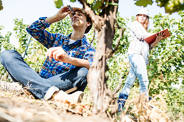 포토 JPG 주간 전신 서양인 외국인 모자 커플 응시 여자 남자 로우앵글 포도 서기 미소 들기 사람 20대 성인 야외 두명 앞모습 옆모습 농장 포도밭 체코 성인만 당도측정기 국내포토 자연요소 시선 잡화 유럽 뷰포인트 밭 농업 과일 관계 모션 표정 인종 청년 기계 파일형식