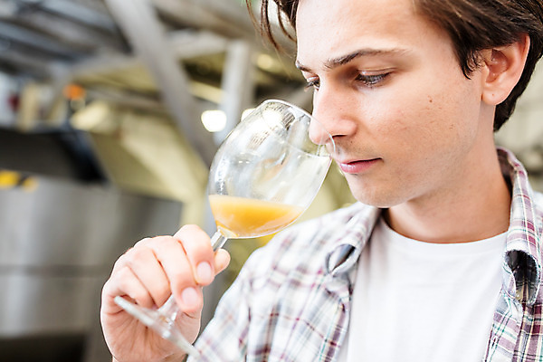 포토 JPG 서양인 외국인 응시 남자 와인잔 공장 포도 실내 한명 서기 들기 사람 상반신 20대 성인 옆모습 와인 냄새 체코 성인남자한명만 와인공장 국내포토 1 시선 유럽 뷰포인트 술잔 과일 공업 모션 주류 인종 청년 내부 남자한명만 성인남자만 파일형식