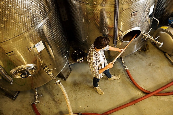 포토 JPG 전신 서양인 외국인 남자 공장 포도 실내 한명 서기 사람 20대 성인 옆모습 하이앵글 와인 기계 막대기 체코 성인남자한명만 와인공장 국내포토 1 유럽 뷰포인트 과일 공업 모션 주류 인종 청년 내부 남자한명만 성인남자만 파일형식