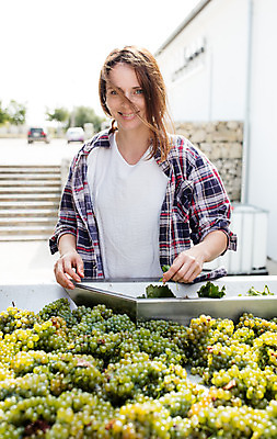 포토 JPG 주간 서양인 외국인 응시 여자 잎 포도 한명 서기 미소 사람 상반신 20대 성인 야외 앞모습 농장 수확 포도밭 포도송이 체코 성인여자한명만 국내포토 자연요소 식물 1 시선 유럽 뷰포인트 밭 농업 과일 모션 표정 인종 청년 여자한명만 성인여자만 파일형식