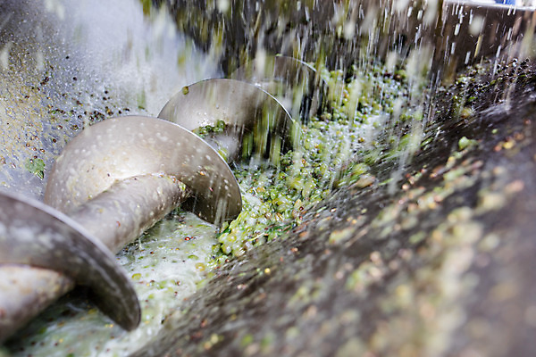 포토 JPG 공장 포도 실내 사람없음 와인 기계 갈기 체코 포도알 와인공장 국내포토 유럽 과일 공업 주류 내부 파일형식