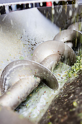 포토 JPG 공장 포도 실내 사람없음 와인 기계 갈기 체코 포도알 와인공장 국내포토 유럽 과일 공업 주류 내부 파일형식