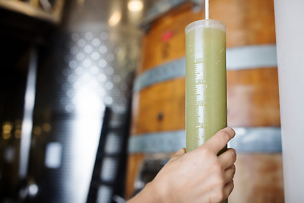 포토 JPG 서양인 외국인 손 여자 공장 포도 실내 한명 들기 사람 20대 성인 신체부위 와인 알코올 체코 측정기 성인여자한명만 와인공장 국내포토 1 유럽 과일 공업 모션 주류 인종 청년 내부 기계 여자한명만 성인여자만 파일형식