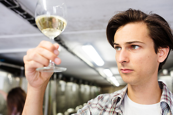 포토 JPG 서양인 외국인 응시 남자 와인잔 공장 포도 실내 한명 들기 사람 상반신 20대 성인 옆모습 와인 체코 성인남자한명만 성인만 와인공장 국내포토 1 시선 유럽 뷰포인트 술잔 과일 공업 모션 주류 인종 청년 내부 남자한명만 성인남자만 파일형식