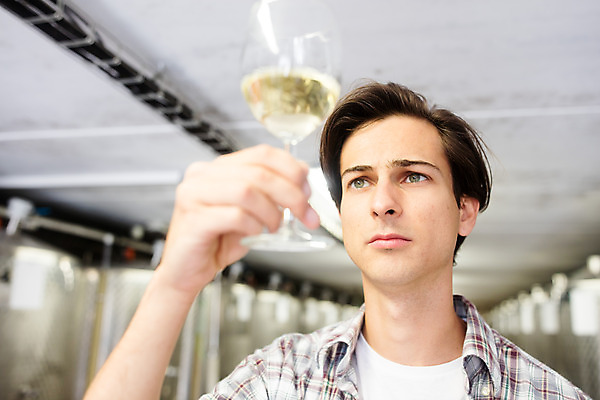 포토 JPG 서양인 외국인 응시 남자 와인잔 공장 포도 실내 한명 들기 사람 상반신 20대 성인 앞모습 와인 체코 성인남자한명만 와인공장 국내포토 1 시선 유럽 뷰포인트 술잔 과일 공업 모션 주류 인종 청년 내부 남자한명만 성인남자만 파일형식