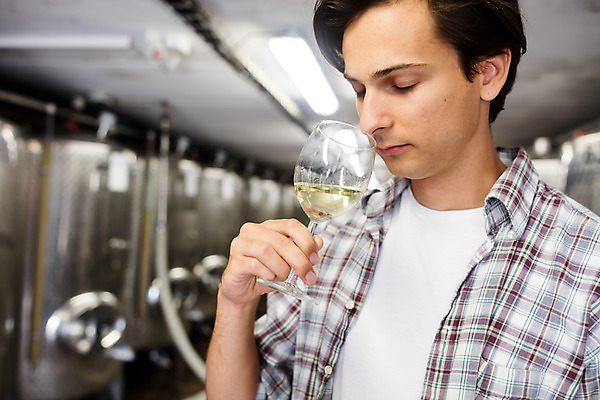 포토 JPG 서양인 외국인 응시 남자 와인잔 공장 포도 실내 한명 서기 들기 사람 상반신 20대 성인 옆모습 와인 냄새 체코 성인남자한명만 와인공장 국내포토 1 시선 유럽 뷰포인트 술잔 과일 공업 모션 주류 인종 청년 내부 남자한명만 성인남자만 파일형식