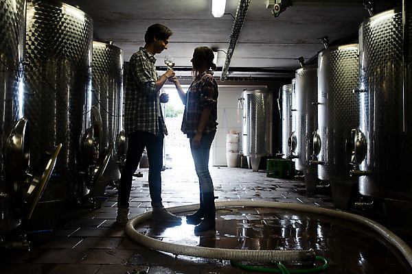 포토 JPG 전신 서양인 외국인 응시 여자 남자 와인잔 공장 포도 실내 서기 사람 20대 성인 두명 옆모습 마주보기 와인 건배 체코 성인만 와인공장 국내포토 시선 유럽 뷰포인트 술잔 과일 공업 모션 주류 인종 청년 내부 파일형식