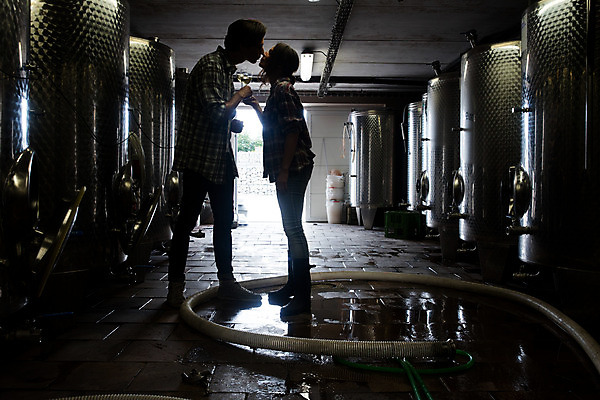포토 JPG 전신 서양인 외국인 응시 여자 남자 와인잔 공장 포도 키스 실내 서기 들기 사람 20대 성인 두명 옆모습 마주보기 와인 건배 체코 성인만 와인공장 국내포토 시선 유럽 뷰포인트 술잔 과일 공업 모션 주류 인종 청년 내부 애정표현 파일형식