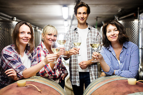 포토 JPG 서양인 외국인 응시 여자 남자 40대 중년 50대 와인잔 공장 포도 실내 서기 미소 들기 사람 앉기 여러명 상반신 20대 성인 앞모습 와인 체코 와인공장 국내포토 시선 유럽 뷰포인트 다수 술잔 과일 공업 모션 주류 표정 인종 청년 내부 파일형식