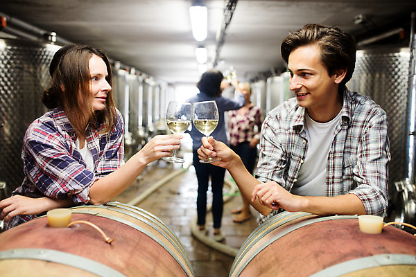 포토 JPG 전신 서양인 외국인 응시 여자 남자 40대 중년 50대 와인잔 공장 포도 실내 서기 미소 들기 사람 여러명 상반신 20대 성인 앞모습 옆모습 뒷모습 마주보기 와인 건배 체코 와인공장 국내포토 시선 유럽 뷰포인트 다수 술잔 과일 공업 모션 주류 표정 인종 청년 내부 파일형식