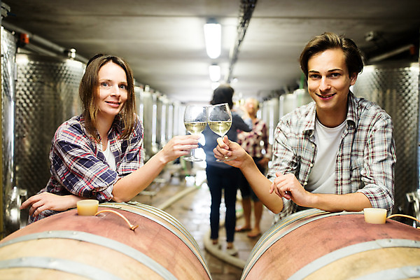 포토 JPG 서양인 외국인 여자 남자 40대 중년 50대 와인잔 공장 포도 실내 서기 미소 들기 사람 앉기 여러명 상반신 20대 성인 앞모습 뒷모습 와인 기댐 건배 체코 와인공장 국내포토 유럽 뷰포인트 다수 술잔 과일 공업 모션 주류 표정 인종 청년 내부 파일형식