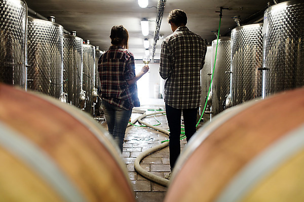 포토 JPG 서양인 외국인 여자 남자 와인잔 공장 포도 실내 서기 들기 사람 상반신 20대 성인 두명 뒷모습 와인 체코 성인만 와인공장 국내포토 유럽 뷰포인트 술잔 과일 공업 모션 주류 인종 청년 내부 파일형식