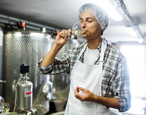 포토 JPG 서양인 외국인 남자 와인잔 공장 포도 실내 한명 서기 들기 사람 상반신 20대 성인 앞모습 와인 앞치마 마시기 체코 위생모자 성인남자한명만 와인공장 국내포토 모자_잡화 1 유럽 뷰포인트 술잔 과일 공업 모션 주류 인종 청년 내부 남자한명만 성인남자만 파일형식