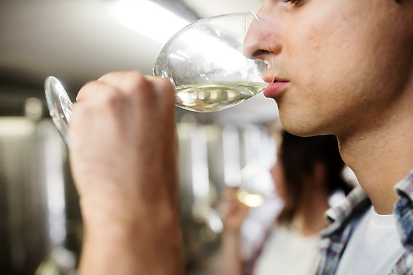 포토 JPG 서양인 외국인 손 여자 남자 와인잔 공장 포도 실내 서기 사람 상반신 20대 성인 두명 옆모습 와인 체코 성인만 와인공장 국내포토 유럽 뷰포인트 술잔 과일 공업 모션 주류 인종 청년 내부 신체부위 파일형식