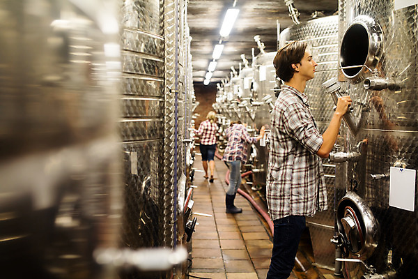 포토 JPG 전신 서양인 외국인 여자 남자 중년 50대 공장 포도 실내 서기 사람 20대 성인 옆모습 뒷모습 세명 와인 기계 확인 발효 체코 와인통 와인공장 국내포토 유럽 뷰포인트 과일 공업 모션 주류 인종 청년 내부 파일형식