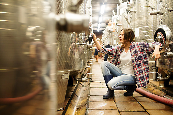 포토 JPG 전신 서양인 외국인 여자 남자 중년 50대 공장 포도 실내 서기 사람 앉기 20대 성인 옆모습 세명 와인 기댐 기계 확인 발효 체코 와인통 와인공장 국내포토 유럽 뷰포인트 과일 공업 모션 주류 인종 청년 내부 파일형식