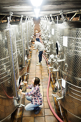 포토 JPG 전신 서양인 외국인 여자 남자 중년 50대 공장 포도 실내 서기 사람 앉기 20대 성인 옆모습 세명 와인 기댐 기계 확인 발효 체코 와인통 성인만 와인공장 국내포토 유럽 뷰포인트 과일 공업 모션 주류 인종 청년 내부 파일형식