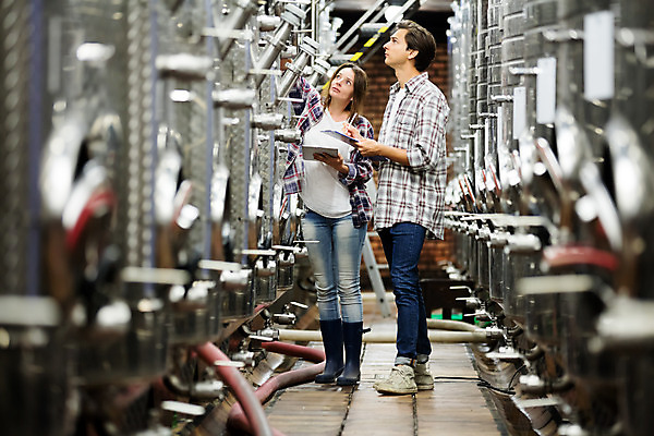 포토 JPG 전신 서양인 외국인 여자 남자 공장 포도 실내 서기 들기 사람 20대 성인 두명 앞모습 옆모습 태블릿 와인 올려보기 체코 성인만 와인공장 국내포토 유럽 뷰포인트 과일 공업 모션 주류 인종 청년 내부 전자제품 스마트기기 파일형식