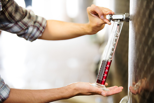 포토 JPG 서양인 외국인 손 남자 공장 포도 실내 한명 서기 사람 상반신 20대 성인 옆모습 신체부위 와인 붓기 체코 실린더 성인남자한명만 와인공장 국내포토 1 유럽 뷰포인트 과일 공업 모션 주류 인종 청년 내부 남자한명만 성인남자만 파일형식