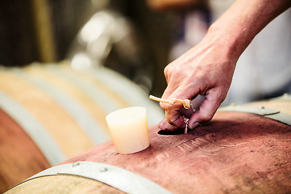 포토 JPG 서양인 외국인 손 공장 한손 실내 한명 사람 성인 아웃포커스 신체부위 와인 체코 나무통 숙성 와인통 와인공장 국내포토 1 유럽 공업 주류 촬영기법 통 인종 내부 파일형식