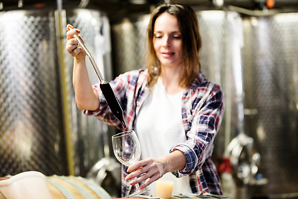 포토 JPG 서양인 외국인 손 응시 여자 와인잔 공장 포도 실내 한명 서기 들기 사람 상반신 20대 성인 앞모습 신체부위 와인 붓기 스포이트 레드와인 체코 성인여자한명만 와인공장 국내포토 1 시선 유럽 뷰포인트 술잔 과일 공업 모션 주류 인종 청년 내부 피펫 여자한명만 성인여자만 파일형식