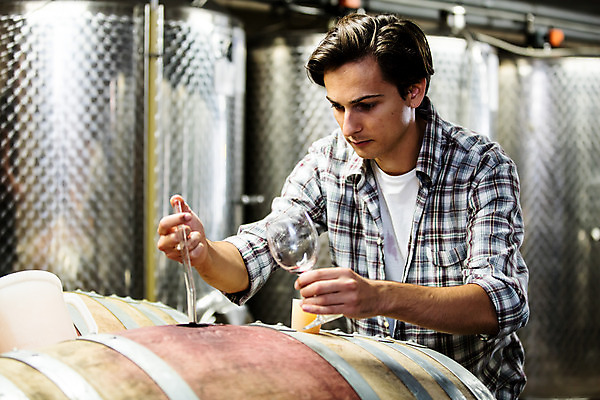 포토 JPG 서양인 외국인 손 남자 와인잔 공장 포도 실내 한명 서기 들기 사람 상반신 20대 성인 옆모습 와인 스포이트 체코 성인남자한명만 와인공장 국내포토 1 유럽 뷰포인트 술잔 과일 공업 모션 주류 인종 청년 내부 신체부위 피펫 남자한명만 성인남자만 파일형식