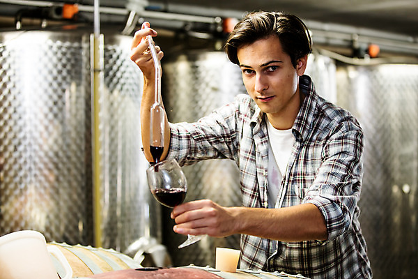 포토 JPG 서양인 외국인 손 응시 남자 와인잔 공장 포도 실내 한명 서기 들기 사람 상반신 20대 성인 옆모습 와인 스포이트 레드와인 체코 꺼내기 성인남자한명만 와인공장 국내포토 1 시선 유럽 뷰포인트 술잔 과일 공업 모션 주류 인종 청년 내부 신체부위 피펫 남자한명만 성인남자만 파일형식