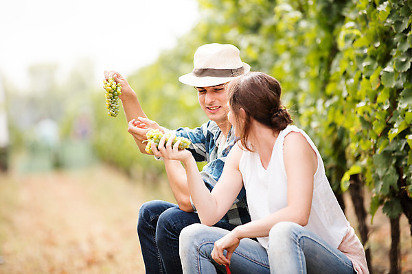 포토 JPG 주간 서양인 외국인 모자 손 커플 응시 여자 남자 포도 대화 들기 사람 앉기 상반신 20대 성인 야외 두명 옆모습 농장 수확 청포도 포도밭 포도나무 체코 성인만 국내포토 자연요소 시선 잡화 유럽 뷰포인트 밭 농업 과일 관계 모션 말하기 인종 청년 신체부위 과일나무 파일형식