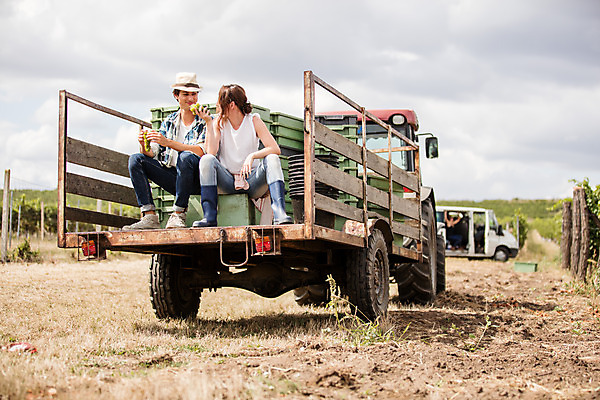 포토 JPG 주간 전신 서양인 외국인 모자 커플 여자 남자 포도 들기 사람 앉기 20대 성인 야외 두명 앞모습 상자 농장 마주보기 수확 청포도 포도밭 포도나무 체코 성인만 국내포토 자연요소 잡화 유럽 뷰포인트 밭 농업 과일 관계 모션 인종 청년 과일나무 파일형식