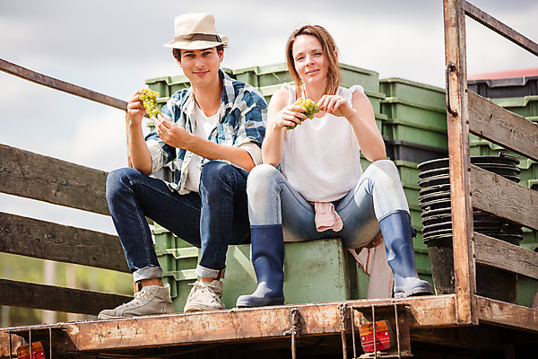 포토 JPG 주간 전신 서양인 외국인 모자 커플 응시 여자 남자 포도 미소 들기 사람 앉기 20대 성인 야외 두명 앞모습 상자 농장 수확 청포도 포도밭 체코 성인만 국내포토 자연요소 시선 잡화 유럽 뷰포인트 밭 농업 과일 관계 모션 표정 인종 청년 파일형식