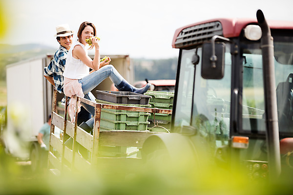 포토 JPG 주간 전신 서양인 외국인 모자 커플 여자 남자 포도 서기 미소 사람 앉기 20대 성인 야외 두명 옆모습 아웃포커스 농장 수확 뒤돌아보기 먹기 청포도 포도밭 체코 성인만 국내포토 자연요소 잡화 유럽 뷰포인트 밭 농업 과일 관계 모션 촬영기법 표정 인종 청년 파일형식