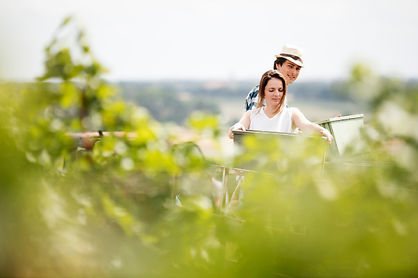포토 JPG 주간 서양인 외국인 모자 커플 여자 남자 포도 서기 미소 들기 사람 상반신 20대 성인 야외 두명 앞모습 아웃포커스 상자 농장 수확 뒤돌아보기 청포도 포도밭 체코 성인만 국내포토 자연요소 잡화 유럽 뷰포인트 밭 농업 과일 관계 모션 촬영기법 표정 인종 청년 파일형식