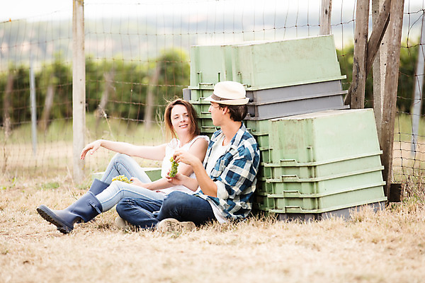 포토 JPG 주간 전신 서양인 외국인 커플 여자 남자 포도 장화 사람 앉기 20대 성인 야외 두명 옆모습 상자 농장 마주보기 수확 먹기 청포도 포도밭 체코 성인만 국내포토 자연요소 유럽 뷰포인트 신발 밭 농업 과일 관계 모션 인종 청년 파일형식