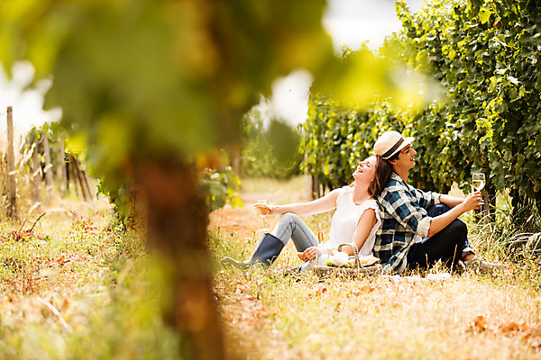 포토 JPG 주간 전신 서양인 외국인 모자 커플 여자 남자 빵 와인잔 포도 미소 사람 앉기 20대 성인 야외 두명 옆모습 아웃포커스 농장 소풍 바구니 와인 눈감음 기댐 수확 등맞대기 포도밭 포도나무 체코 성인만 국내포토 자연요소 잡화 유럽 음식 뷰포인트 밭 농업 술잔 과일 관계 모션 주류 촬영기법 표정 인종 청년 야외활동 과일나무 파일형식