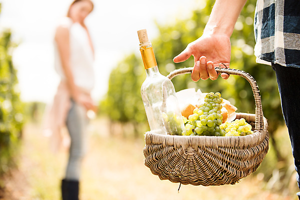 포토 JPG 주간 전신 서양인 외국인 손 커플 여자 남자 빵 포도 서기 들기 사람 20대 성인 야외 두명 옆모습 신체부위 농장 바구니 와인 하반신 수확 포도밭 포도나무 체코 성인만 국내포토 자연요소 유럽 음식 뷰포인트 밭 농업 과일 관계 모션 주류 인종 청년 과일나무 파일형식