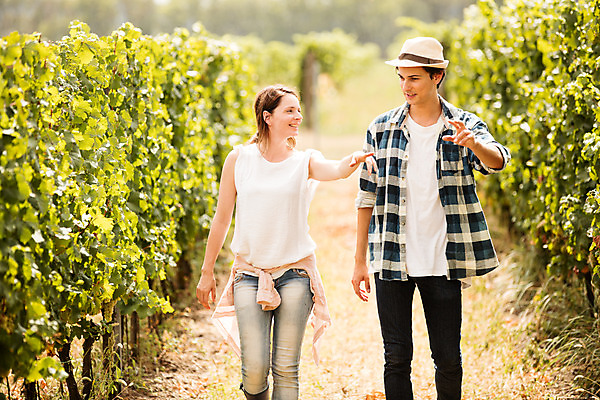 포토 JPG 주간 서양인 외국인 모자 손 커플 여자 남자 포도 서기 미소 사람 손짓 상반신 20대 성인 야외 두명 앞모습 농장 걷기 수확 가리킴 포도밭 포도나무 체코 성인만 국내포토 자연요소 잡화 유럽 뷰포인트 밭 농업 과일 관계 모션 표정 인종 청년 신체부위 과일나무 파일형식
