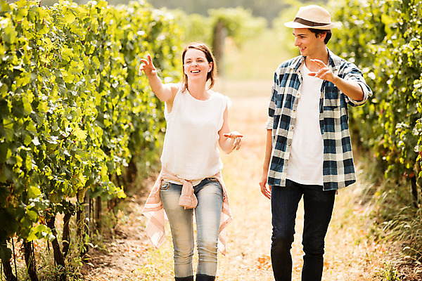 포토 JPG 주간 서양인 외국인 모자 손 커플 여자 남자 포도 서기 미소 사람 손짓 상반신 20대 성인 야외 두명 앞모습 농장 걷기 수확 가리킴 포도밭 포도나무 체코 성인만 국내포토 자연요소 잡화 유럽 뷰포인트 밭 농업 과일 관계 모션 표정 인종 청년 신체부위 과일나무 파일형식