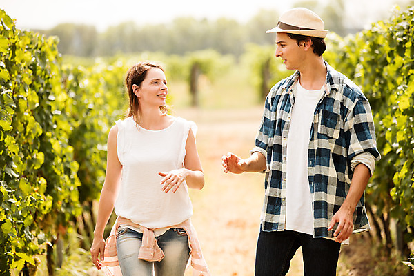 포토 JPG 주간 서양인 외국인 모자 커플 여자 남자 포도 서기 미소 사람 상반신 20대 성인 야외 두명 앞모습 옆모습 농장 걷기 수확 포도밭 포도나무 체코 성인만 국내포토 자연요소 잡화 유럽 뷰포인트 밭 농업 과일 관계 모션 표정 인종 청년 과일나무 파일형식