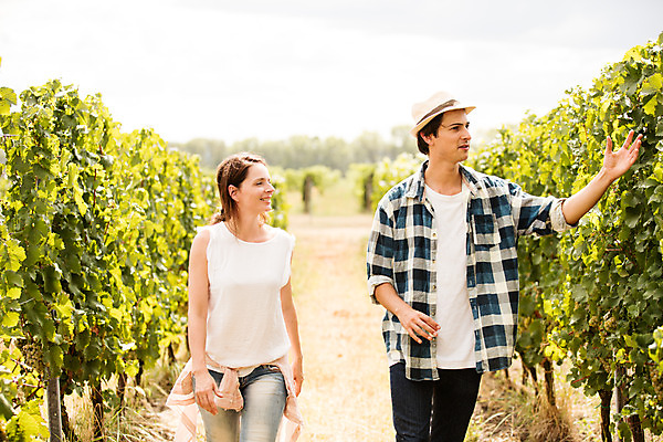 포토 JPG 주간 서양인 외국인 모자 손 커플 여자 남자 포도 서기 미소 사람 손짓 상반신 20대 성인 야외 두명 앞모습 농장 걷기 수확 포도밭 포도나무 체코 성인만 국내포토 자연요소 잡화 유럽 뷰포인트 밭 농업 과일 관계 모션 표정 인종 청년 신체부위 과일나무 파일형식