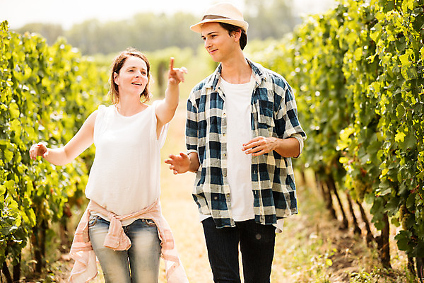 포토 JPG 주간 서양인 외국인 모자 커플 여자 남자 포도 서기 미소 사람 손짓 상반신 20대 성인 야외 두명 앞모습 농장 걷기 수확 가리킴 포도밭 포도나무 체코 성인만 국내포토 자연요소 잡화 유럽 뷰포인트 밭 농업 과일 관계 모션 표정 인종 청년 과일나무 파일형식