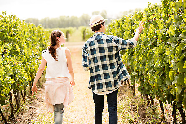 포토 JPG 주간 서양인 외국인 모자 커플 여자 남자 포도 사람 손짓 상반신 20대 성인 야외 두명 뒷모습 농장 걷기 수확 가리킴 포도밭 포도나무 체코 성인만 국내포토 자연요소 잡화 유럽 뷰포인트 밭 농업 과일 관계 모션 인종 청년 과일나무 파일형식