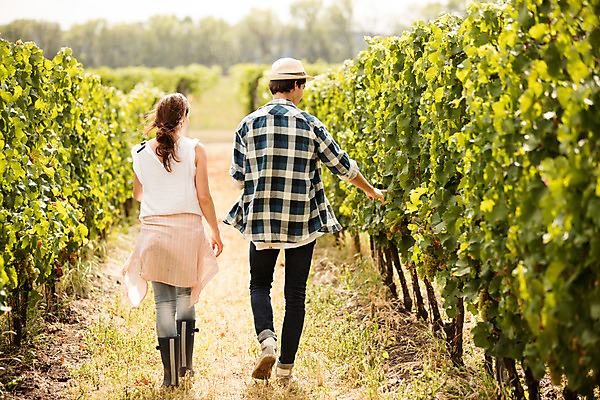포토 JPG 주간 전신 서양인 외국인 모자 커플 여자 남자 포도 서기 사람 손짓 20대 성인 야외 두명 뒷모습 농장 걷기 수확 가리킴 포도밭 포도나무 체코 성인만 국내포토 자연요소 잡화 유럽 뷰포인트 밭 농업 과일 관계 모션 인종 청년 과일나무 파일형식
