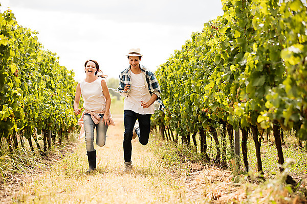 포토 JPG 주간 전신 서양인 외국인 모자 커플 여자 남자 포도 미소 사람 20대 성인 야외 두명 앞모습 달리기 농장 수확 포도밭 포도나무 체코 성인만 국내포토 자연요소 잡화 유럽 뷰포인트 밭 농업 과일 관계 모션 표정 인종 청년 과일나무 파일형식