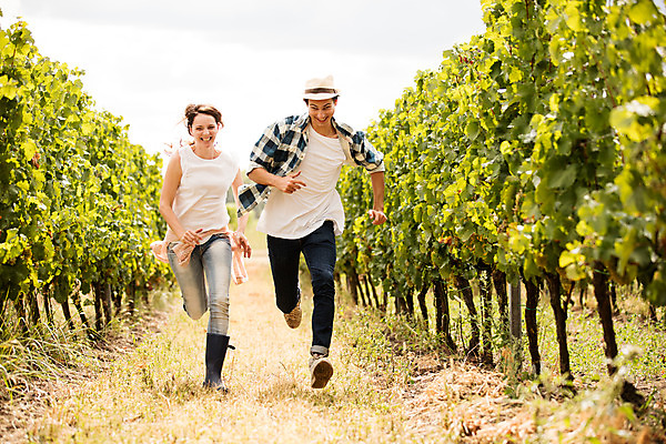 포토 JPG 주간 전신 서양인 외국인 모자 커플 여자 남자 포도 미소 사람 20대 성인 야외 두명 앞모습 달리기 농장 수확 포도밭 포도나무 체코 성인만 국내포토 자연요소 잡화 유럽 뷰포인트 밭 농업 과일 관계 모션 표정 인종 청년 과일나무 파일형식
