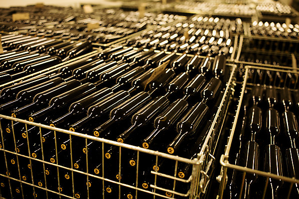 포토 JPG 공장 실내 사람없음 농장 여러개 와인병 체코 와인공장 국내포토 유럽 다수 농업 공업 병_용기 내부 와인 파일형식