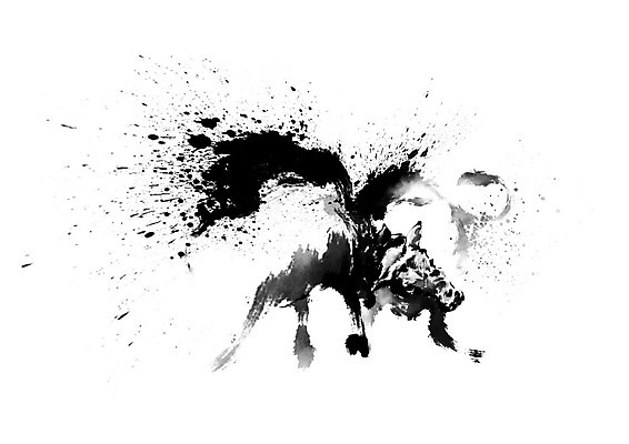 PSD 전통 두마리 일러스트 캘리그라피 붓터치 뿔 사람없음 전통놀이 힘 경쟁 소 충돌 소싸움 박치기 국내일러스트 컨셉 2 포유류 모션 놀이 파일형식