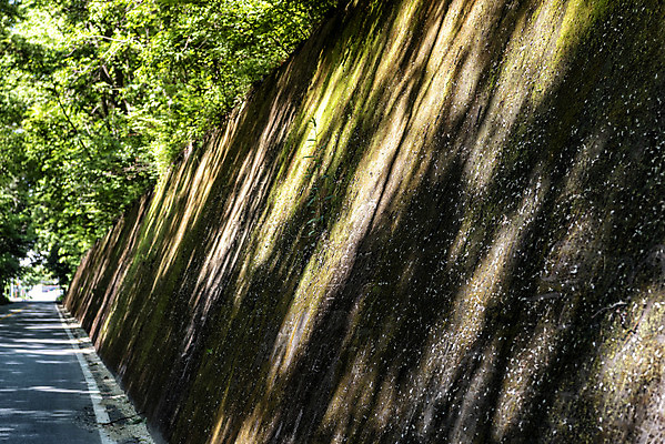 포토 JPG 주간 나무 도로 여행 자연 한국 그림자 이끼 풍경 사람없음 야외 초록색 여름 관광지 여름풍경 국내여행 단양 명승지 이끼터널 국내포토 자연요소 식물 계절 아시아 길 컬러 교통시설 거리 생태계 충청북도 파일형식 여름_계절