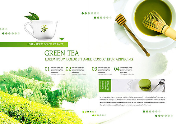 PSD 템플릿 표지디자인 북디자인 출판디자인 내지 리플렛 북커버 나뭇잎 팜플렛 사람없음 초록색 차 녹차 녹차밭 마카롱 말차 이미지템플릿 음료 컬러 잎 밭 디저트 차_음료 파일형식